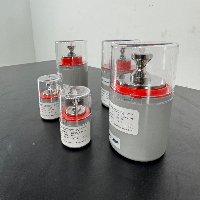 Troemner Calibration Weights - Quantity 5 image 0
